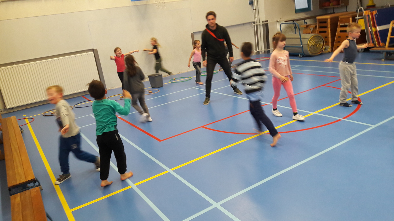 puppies in delaware puppies spelen in de gymzaal fotoalbum don bosco jeugdbeweging halfweg zwanenburg puppies in delaware puppies spelen in de gymzaal fotoalbum don bosco jeugdbeweging halfweg zwanenburg