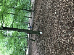 IMG_0051.jpg