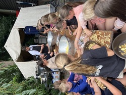 IMG_7176.jpeg