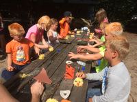 IMG-20170726-WA0009.jpg