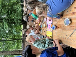 IMG_2247.jpeg