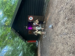 IMG_2261.jpeg