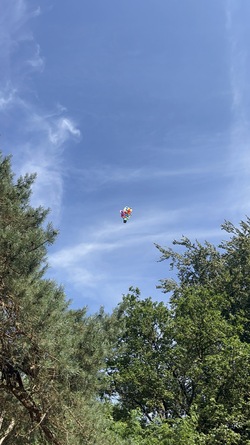 IMG_8913.jpeg