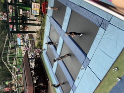 IMG_8950.jpeg