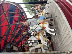 IMG_8962.jpeg
