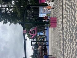 IMG_9003.jpeg