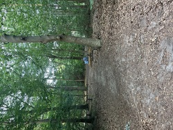 IMG_9088.jpeg