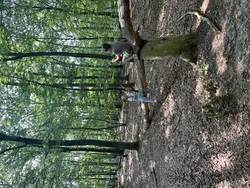 IMG_9155.jpeg