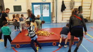 Puppies gaan los in de gymzaal